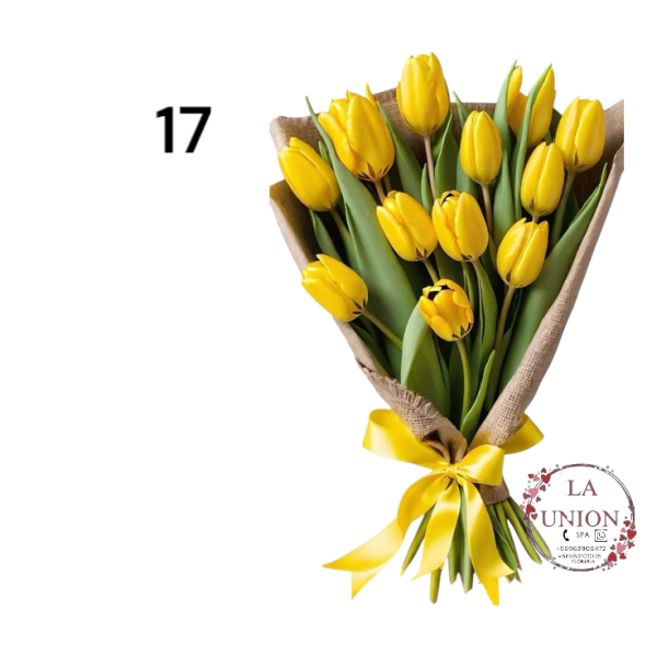 Photoroom-20250223_133020_17