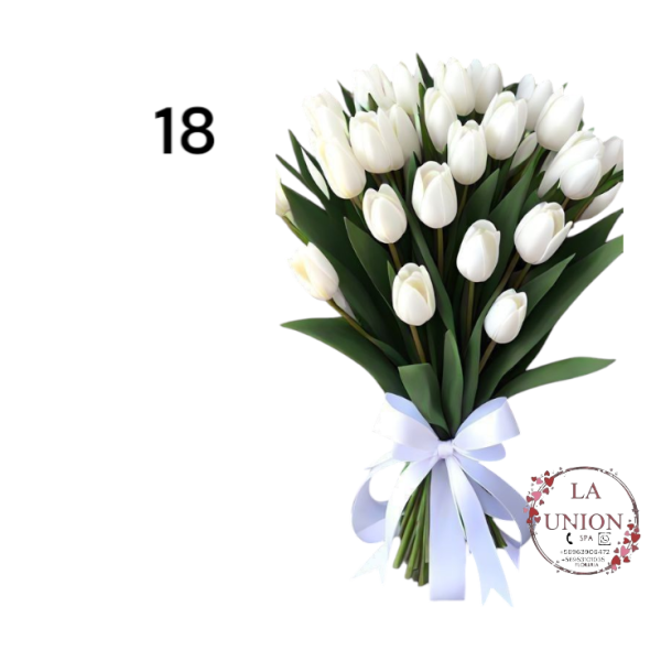 Photoroom-20250223_133020_18