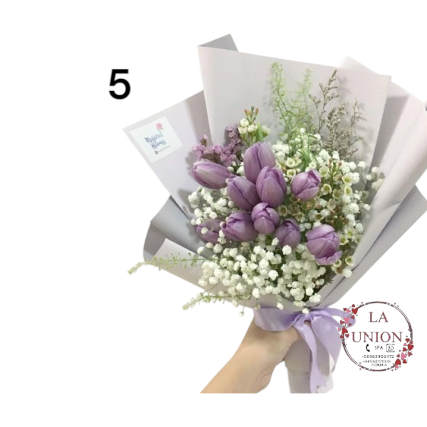 Photoroom-20250223_133020_5