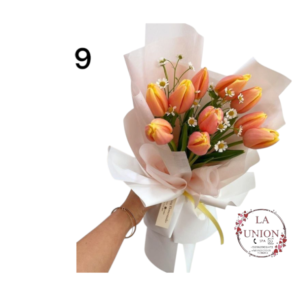 Photoroom-20250223_133020_9