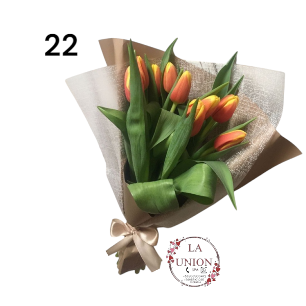 Photoroom-20250223_133021_22