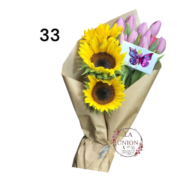 Photoroom-20250223_133021_33