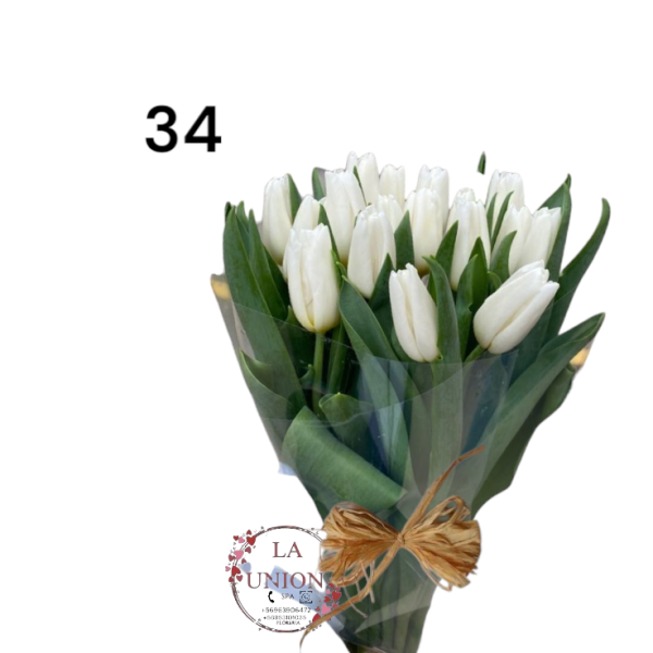 Photoroom-20250223_133021_34