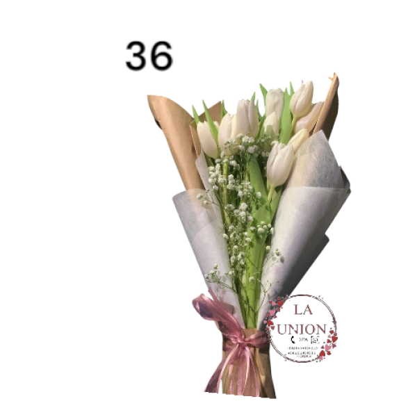 Photoroom-20250223_133022_36