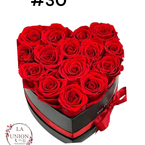 Photoroom-20250225_013055_32