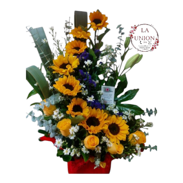 Photoroom-20250302_183815_5