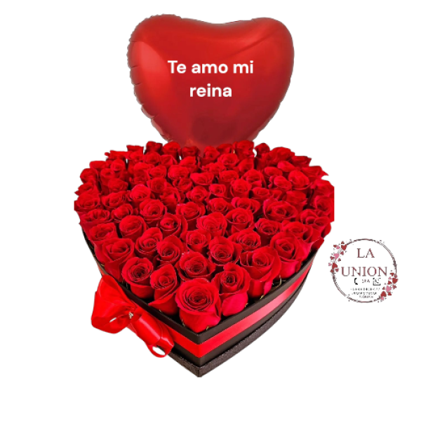 Photoroom-20250302_190227_15