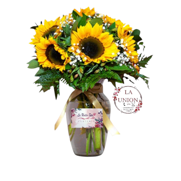 Photoroom-20250302_190227_18