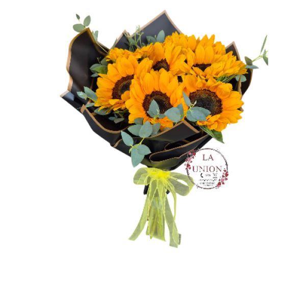 Photoroom-20250306_215500_23