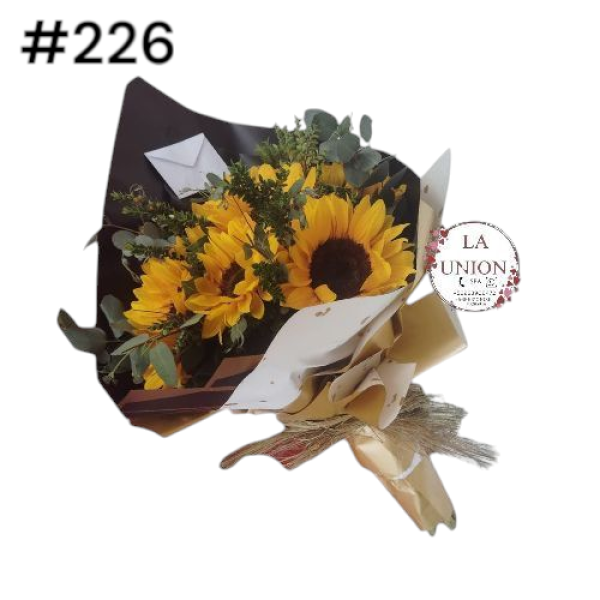 Photoroom-20250318_115426_32