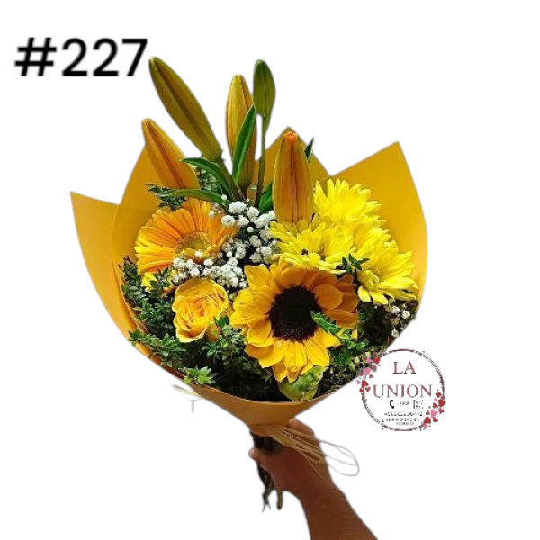 Photoroom-20250318_115426_34