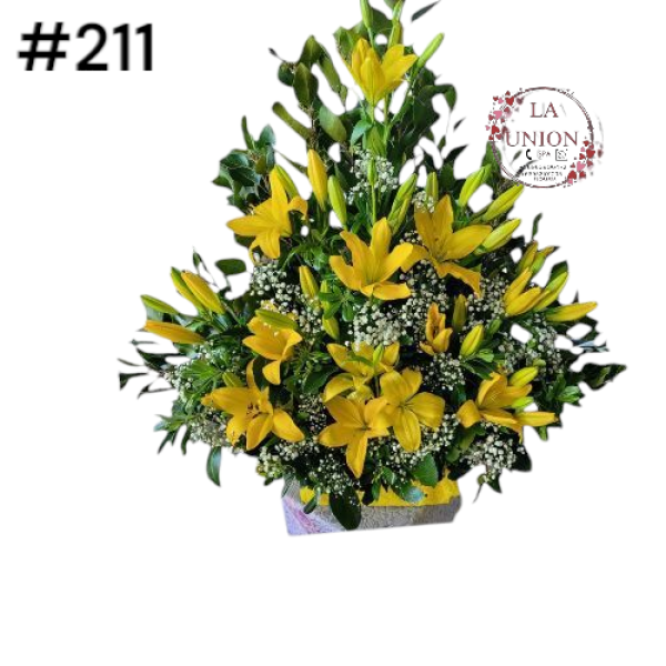 Photoroom-20250318_115426_37