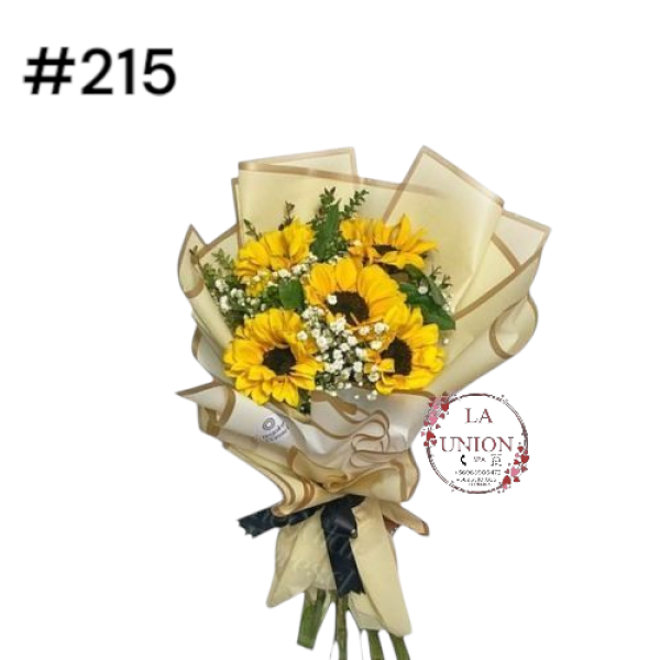 Photoroom-20250318_115426_40