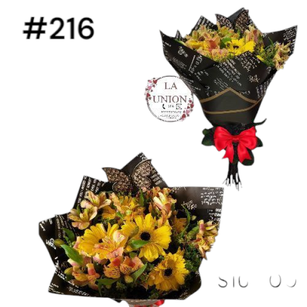 Photoroom-20250318_115426_41