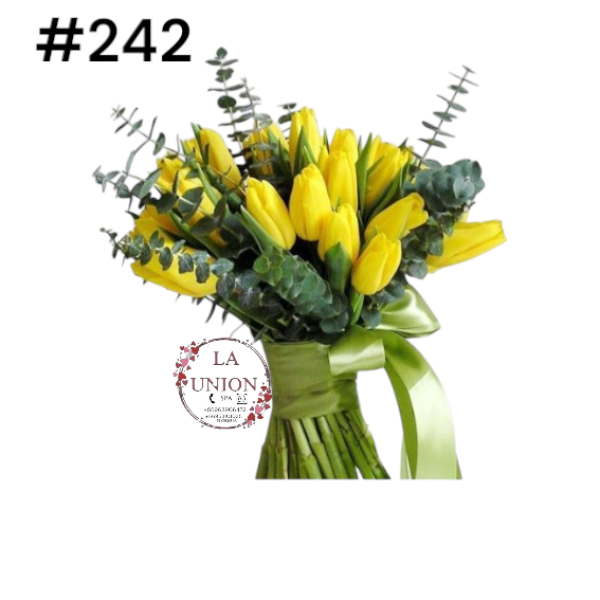 Photoroom-20250318_120139_2