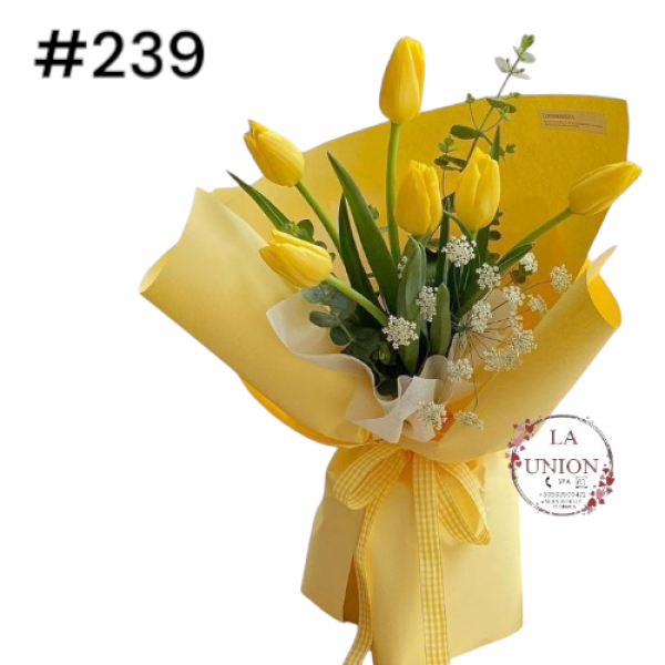 Photoroom-20250318_120139_6