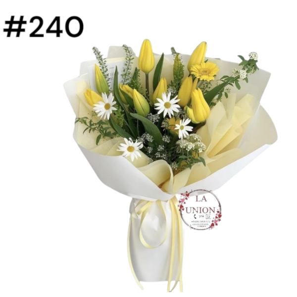 Photoroom-20250318_120139_7