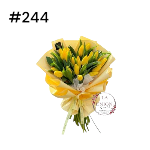 Photoroom-20250318_120140_11