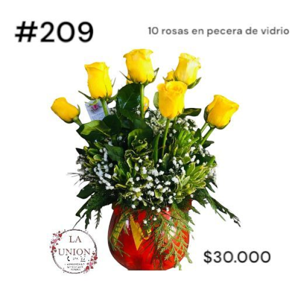 Photoroom-20250318_122753_11