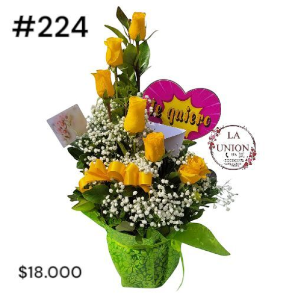 Photoroom-20250318_122753_3