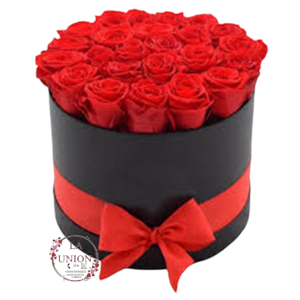 Photoroom-20250427_133218_5