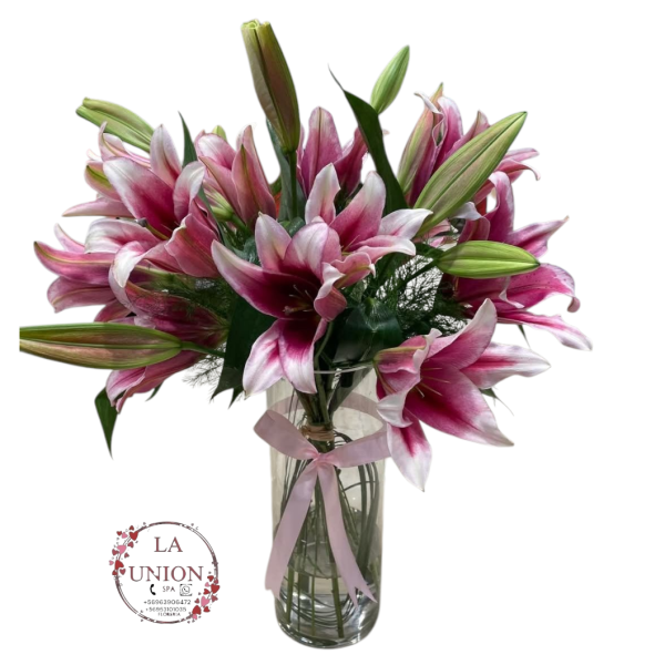 Photoroom-20250427_133219_14