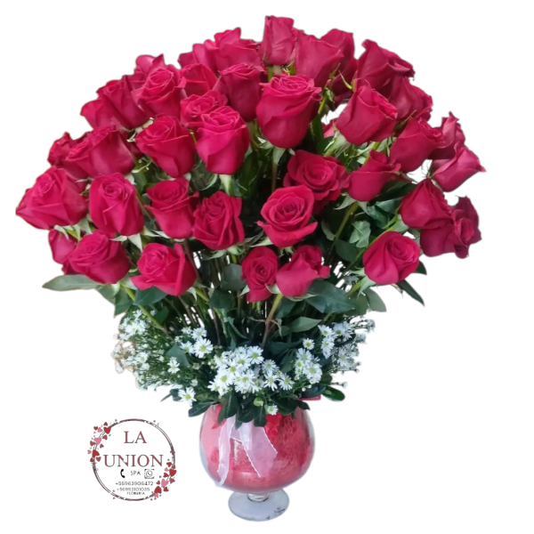 Photoroom-20250427_133219_17