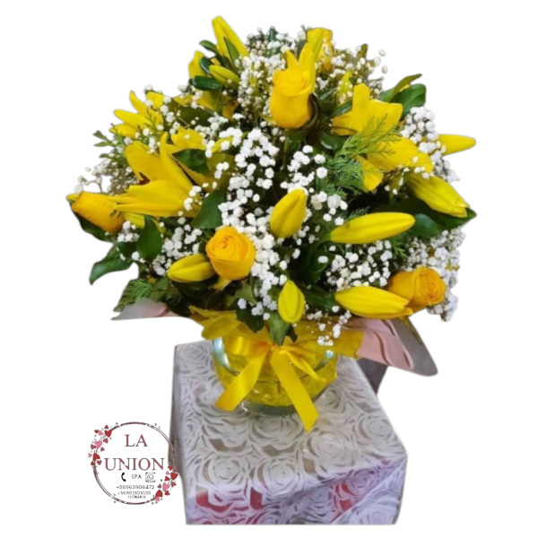 Photoroom-20250427_133219_22