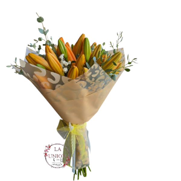 Photoroom-20250427_135728_12