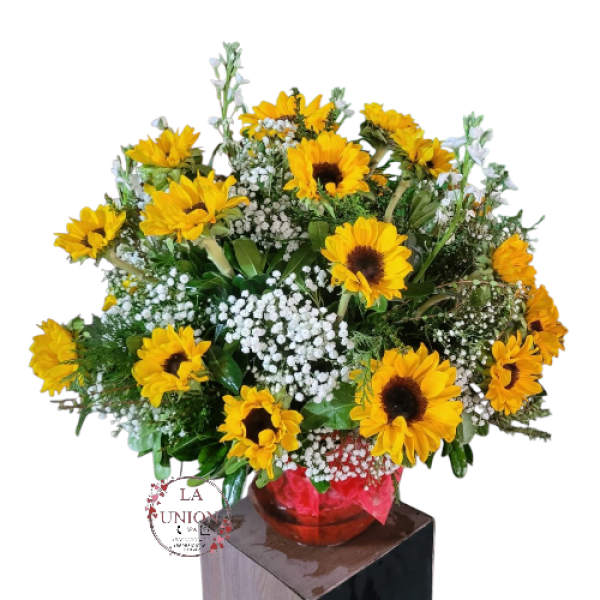 Photoroom-20250427_135728_3