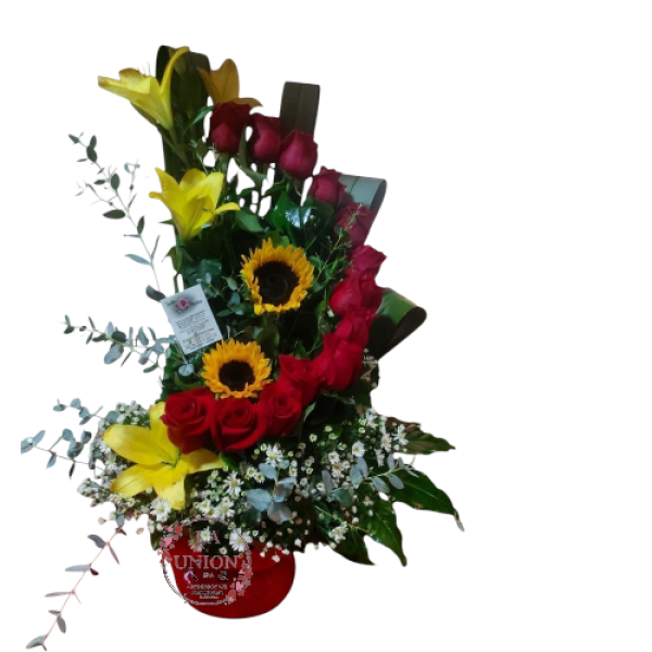 Photoroom-20250427_135728_4