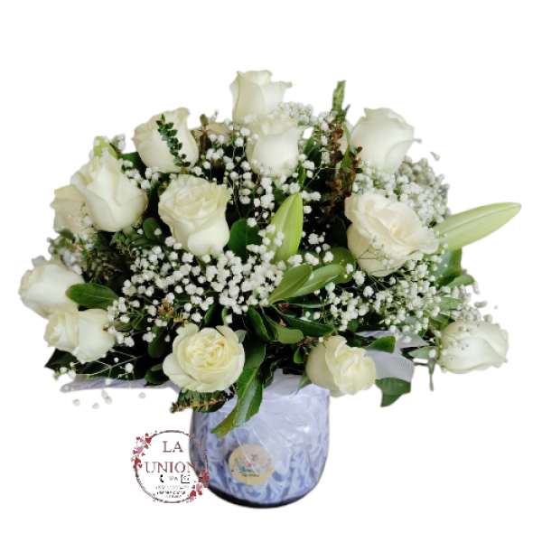 Photoroom-20250427_135729_13