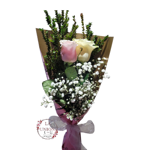 Photoroom-20250427_135729_21