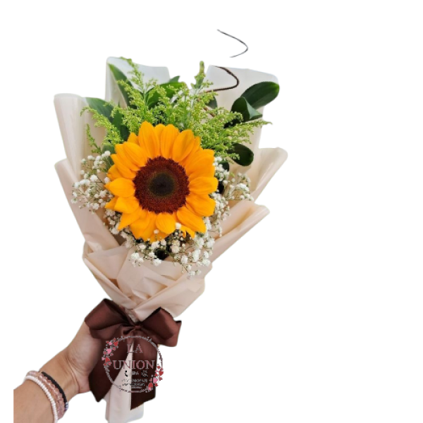 Photoroom-20250427_135729_29