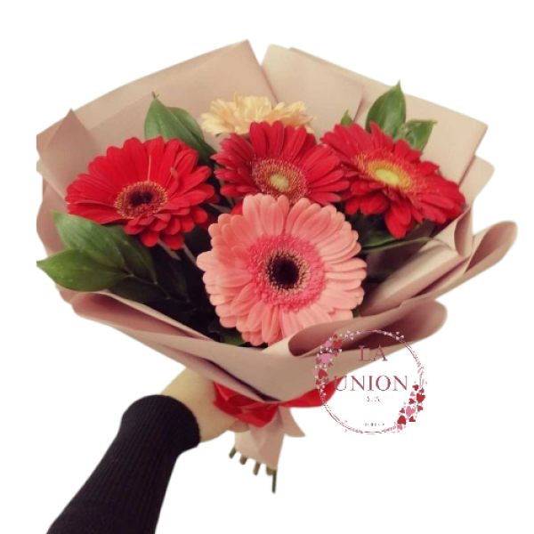 Photoroom-20250427_232420_23