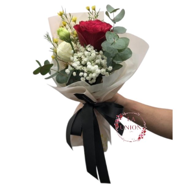 Photoroom-20250427_233523_5