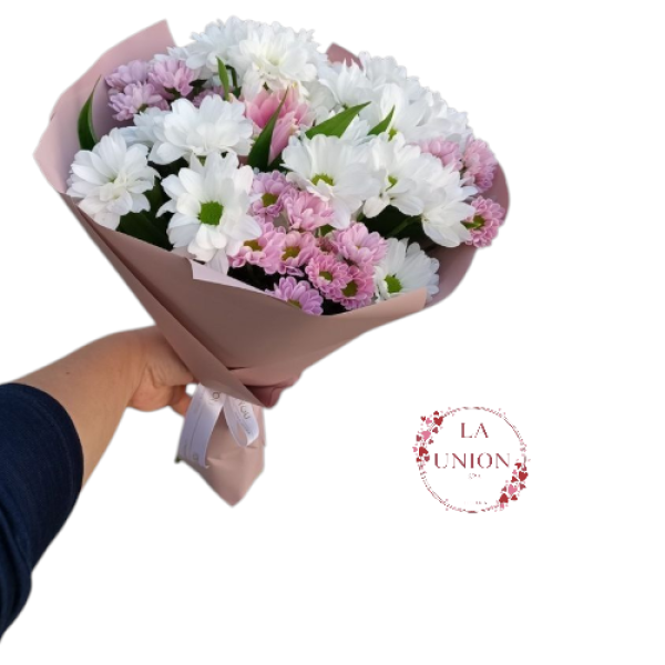 Photoroom-20250427_233524_28