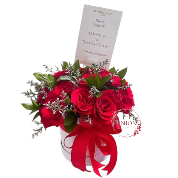 Photoroom-20250427_233524_34