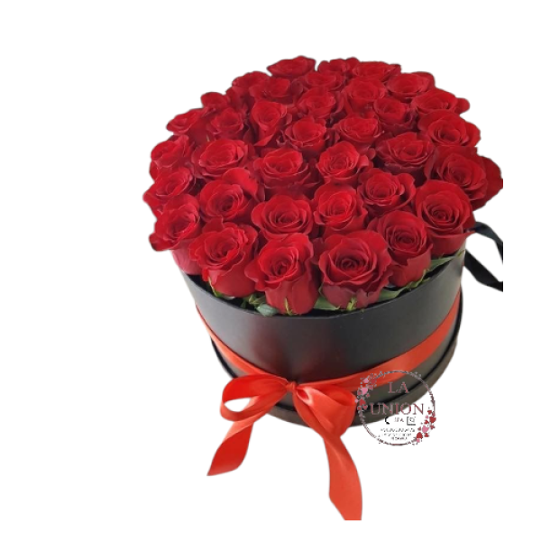 Photoroom-20250505_232105_21