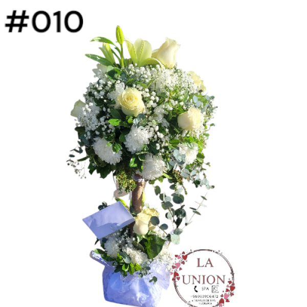 Photoroom-20250518_105005_10