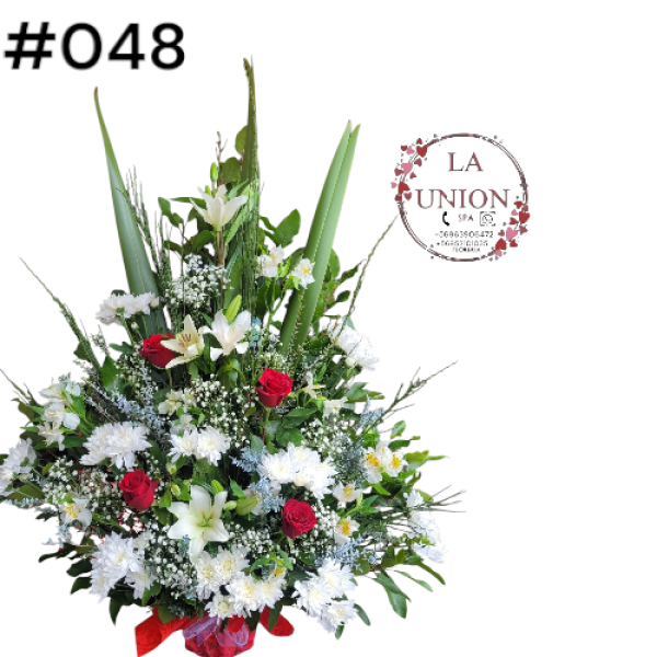 Photoroom-20250518_105005_14