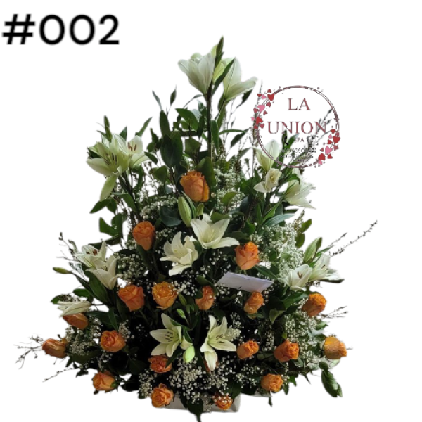 Photoroom-20250518_105005_2