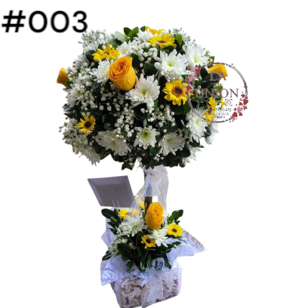 Photoroom-20250518_105005_3