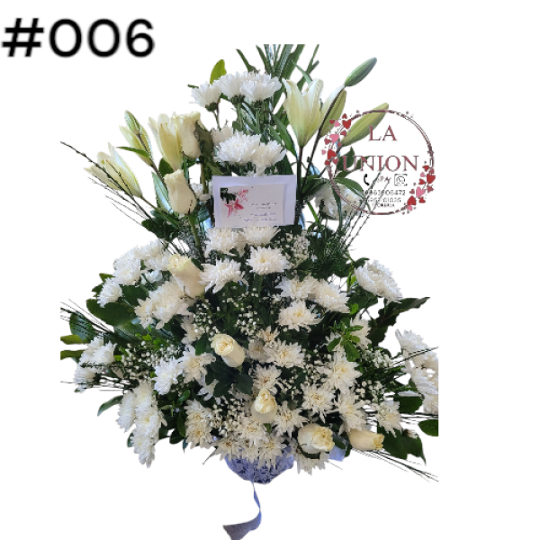 Photoroom-20250518_105005_6