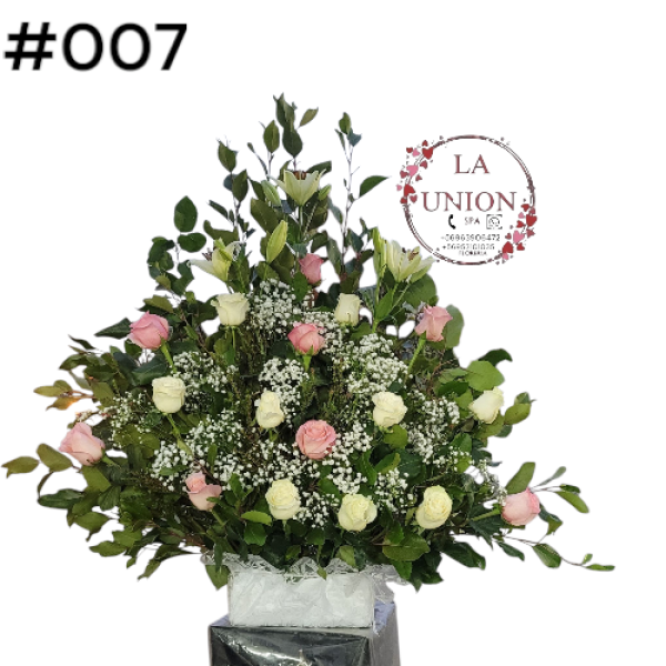 Photoroom-20250518_105005_7