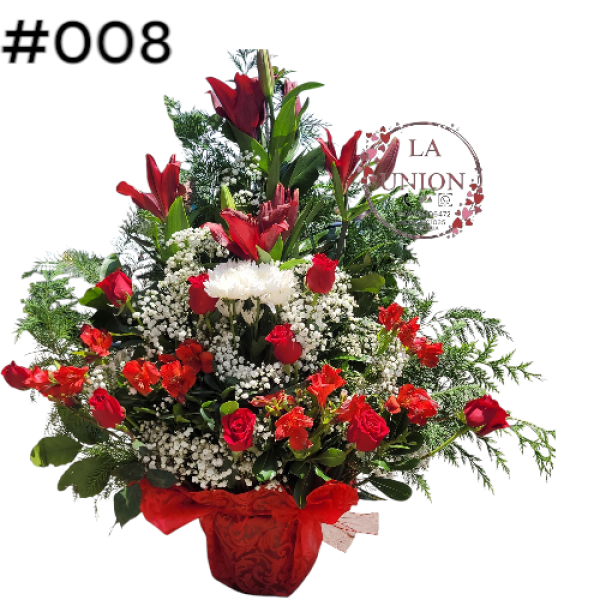 Photoroom-20250518_105005_8