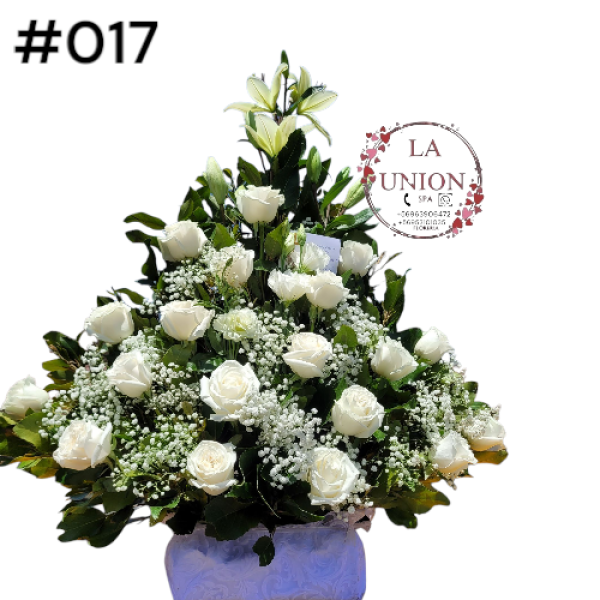 Photoroom-20250518_105006_18