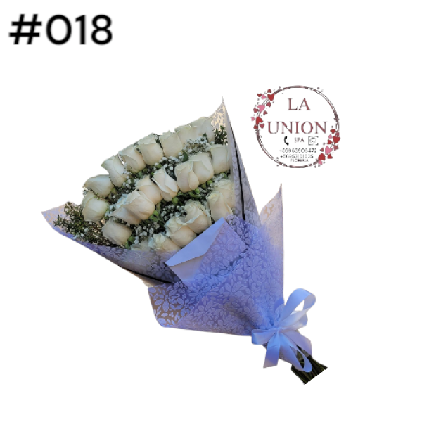 Photoroom-20250518_105006_19