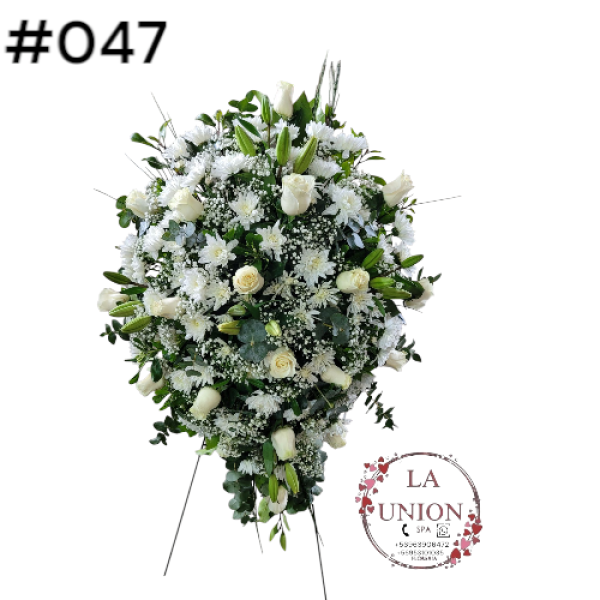 Photoroom-20250518_105006_25