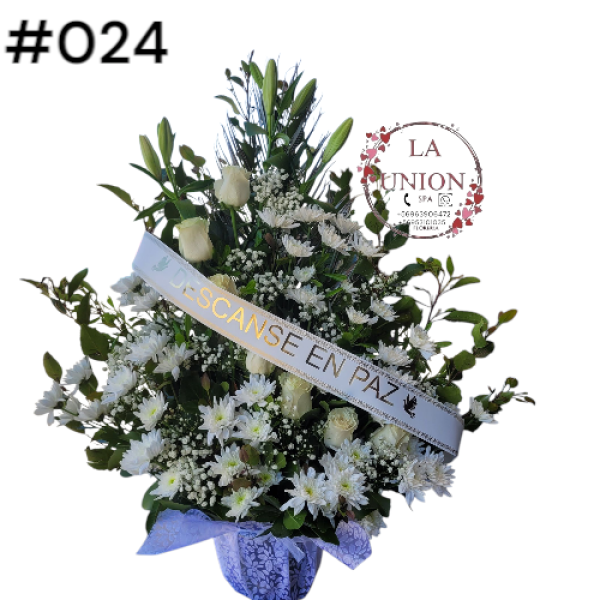 Photoroom-20250518_105006_27